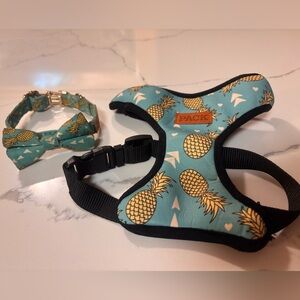 Pineapple Print Pack leash collar and harness combo